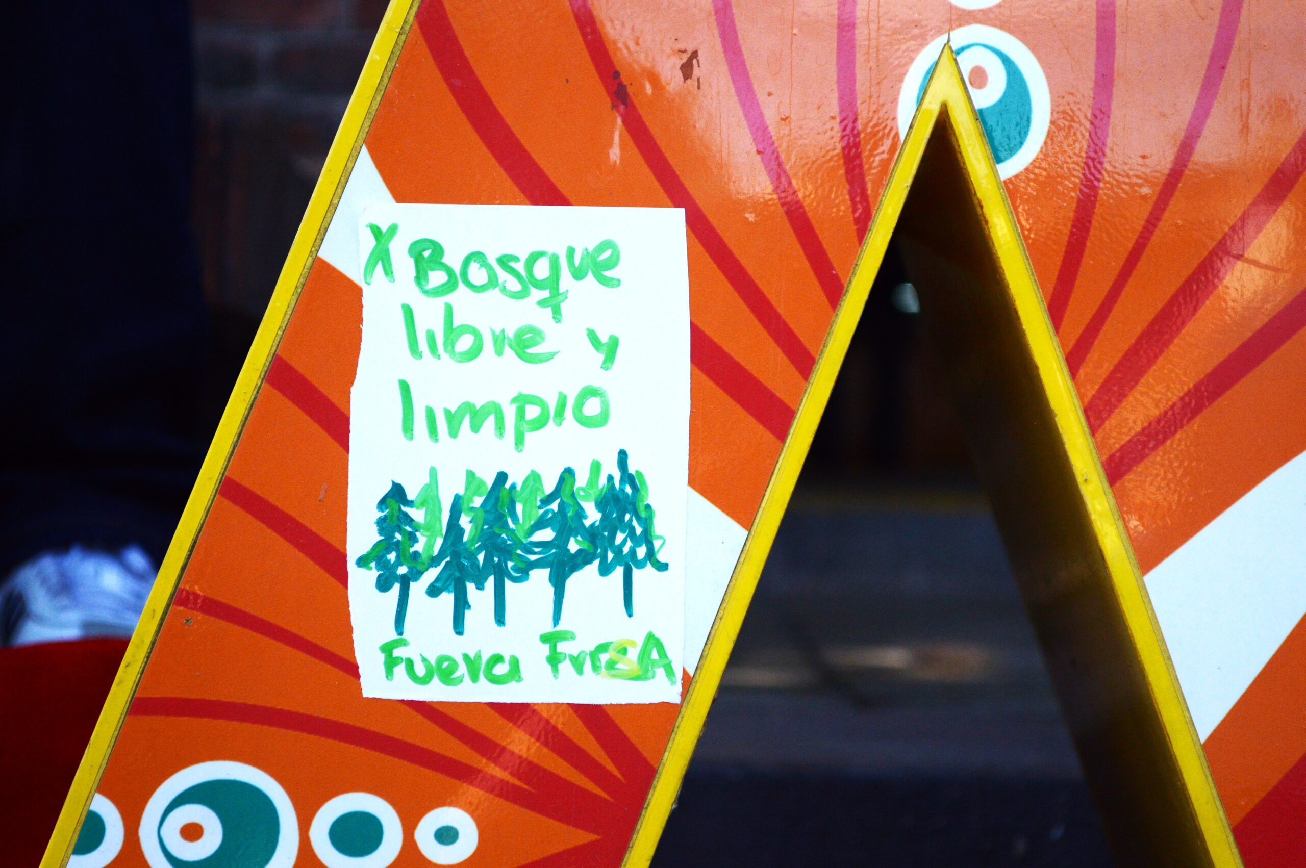 El proceso de defensa del bosque La Cañada, al sur de la Ciudad de México, apenas inicia. | Fotografía: Diana H. Gómez